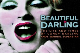 Beautiful Darling (2010) - poster